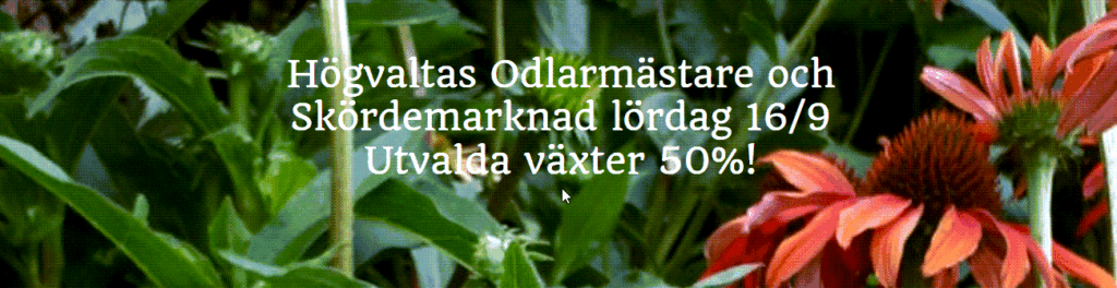 Högvaltas skördemarknad 2023