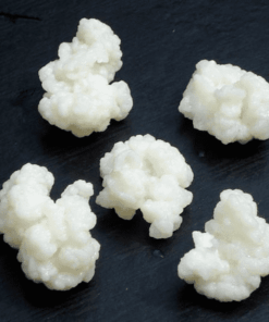 Organic Kefir Grains Starter Kit